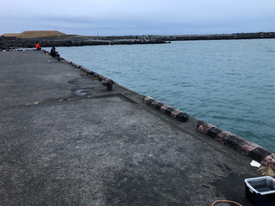 夕マズメのカマス