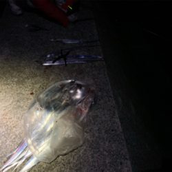 爆風メリークリスマス