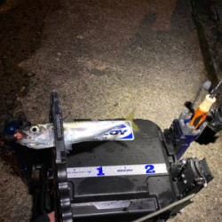 色々釣れるそれがアジング