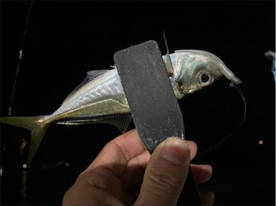 癒しのライトゲーム♪