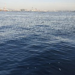 釣り納めかな。