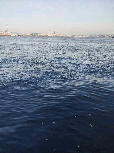 釣り納めかな。