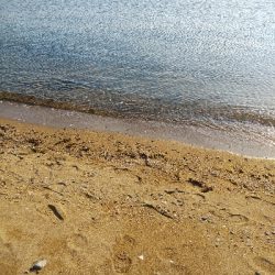 ワームでヒラメ