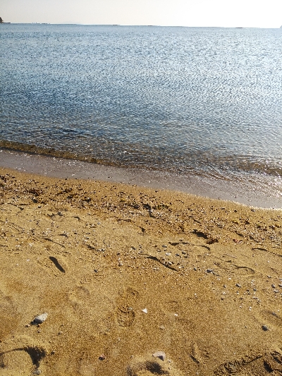 ワームでヒラメ