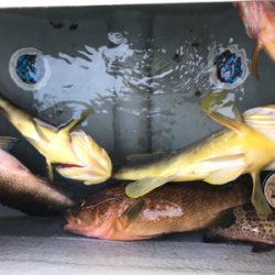 2020 釣り納め釣行