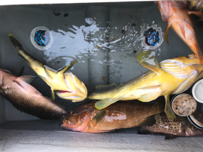 2020 釣り納め釣行