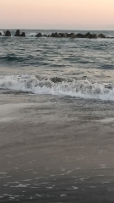 ワタリガニさん