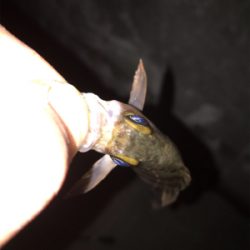 極寒 釣り納め!