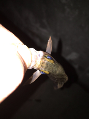 極寒　釣り納め！