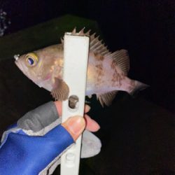 寒さに負けず新規開拓