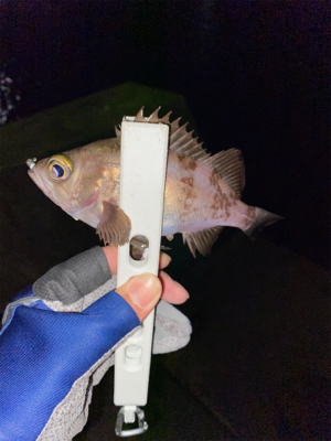 寒さに負けず新規開拓