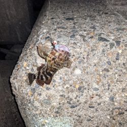 仕事帰りにライトゲーム