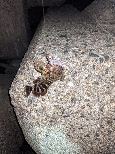 仕事帰りにライトゲーム