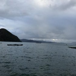 まだ釣れる！悪天候でも爆釣カワハギ！