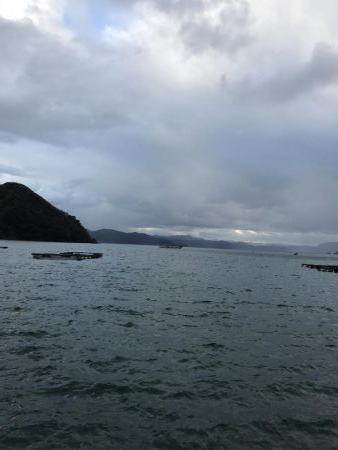 まだ釣れる！悪天候でも爆釣カワハギ！