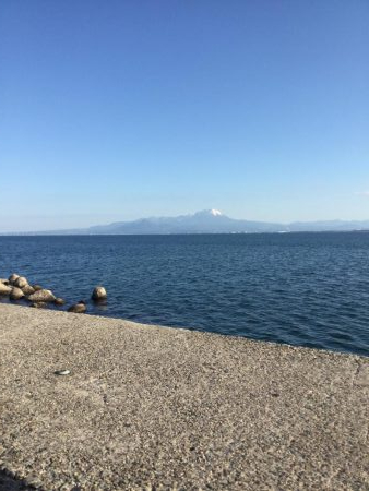 夢みなとショアジギング釣行