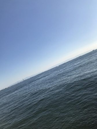 初めての南芦屋浜東岸で青物狙い！