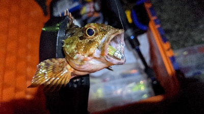 ガッシーで釣り納め