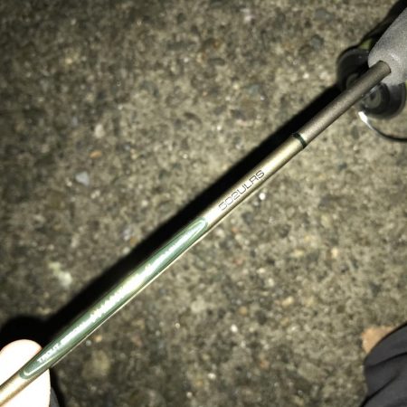 1人きりのメリクリ釣行