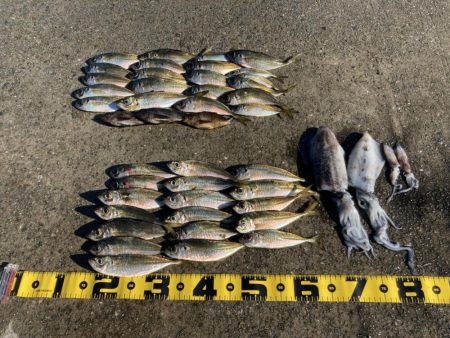 離島のポテンシャル