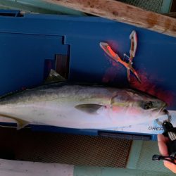 名田屋さんで飲ませ＆ガシラ釣り