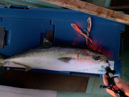 名田屋さんで飲ませ＆ガシラ釣り