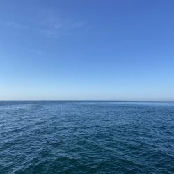 なんとかカワハギ