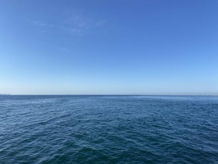 なんとかカワハギ