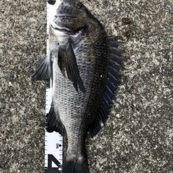 イチノ兄弟、釣果！