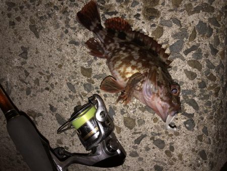 寒さがまだマシ！