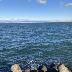 渋い　釣り納め