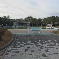 服部緑地トラウト