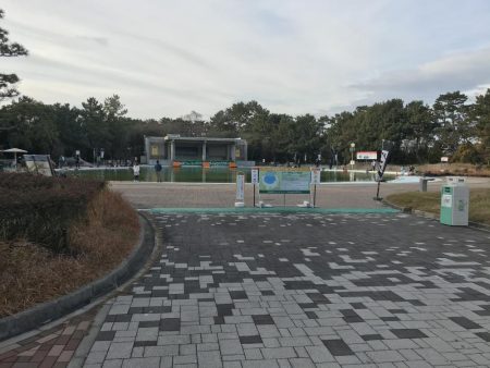 服部緑地トラウト