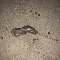 仕事終わり17時頃から2時間勝負