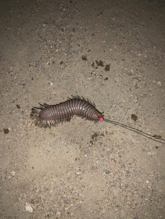 仕事終わり17時頃から2時間勝負