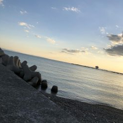 夕方の根魚調査