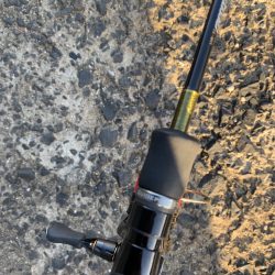 風裏でシーバス