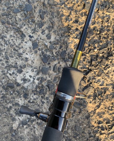 風裏でシーバス