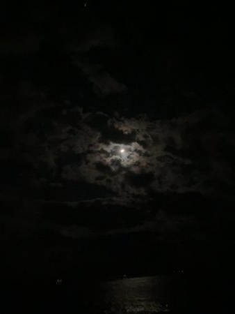 ゲキ渋ヤエン釣行