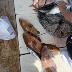 晴天のタイラバ釣行