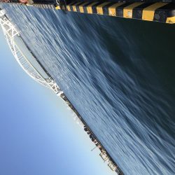 朝マズメのタチウオ調査からのショアジギ