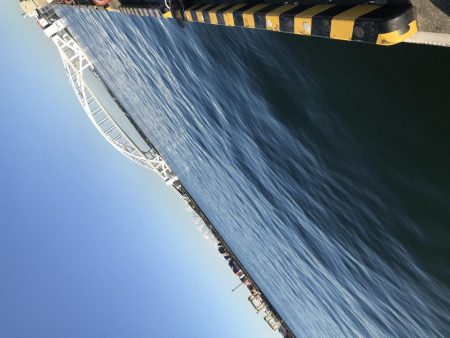 朝マズメのタチウオ調査からのショアジギ