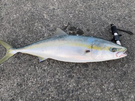 水面の魔術師！やっぱりトップはやめられない…