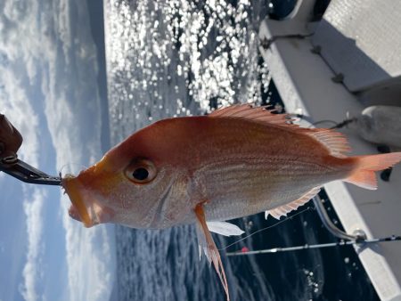 今年最後かもしれないマイボート釣行