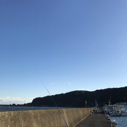 冬の串本港アジ安定