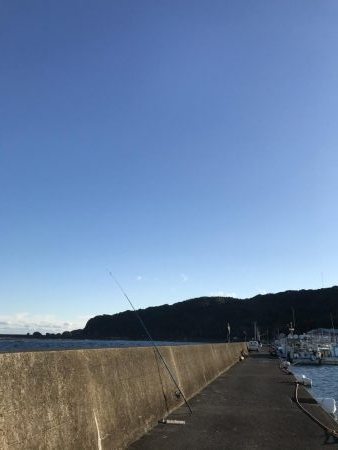 冬の串本港アジ安定