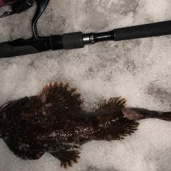 久々の釣りは、、、