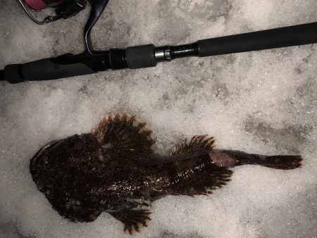 久々の釣りは、、、