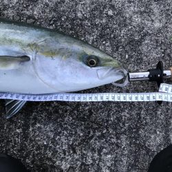 時合いは一瞬！その時…