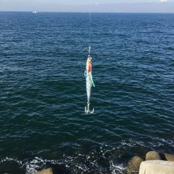 傷だらけの天使